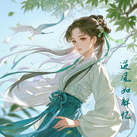 逆风如解忆