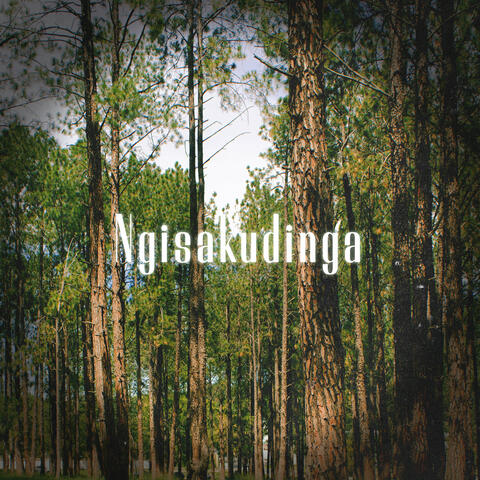 Ngisakudinga