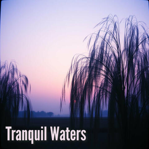 Tranquil Waters