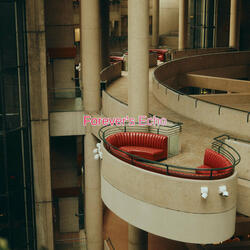 Don't Let This Love Become a Memory