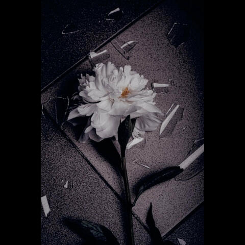 Since You've Been Gone