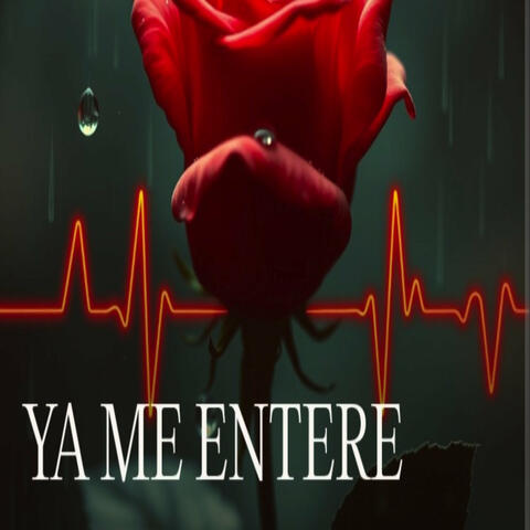 Ya Me Entere