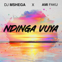 Ndinga Vuya
