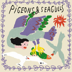 Pigeons & Seagulls