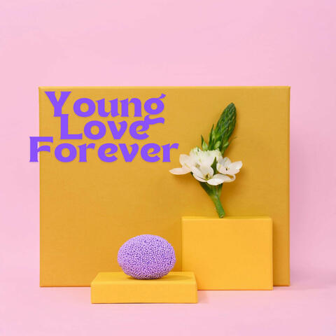 Young Love Forever