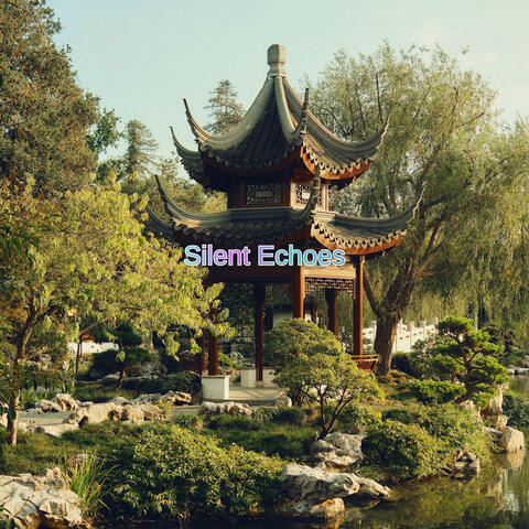 Silent Echoes