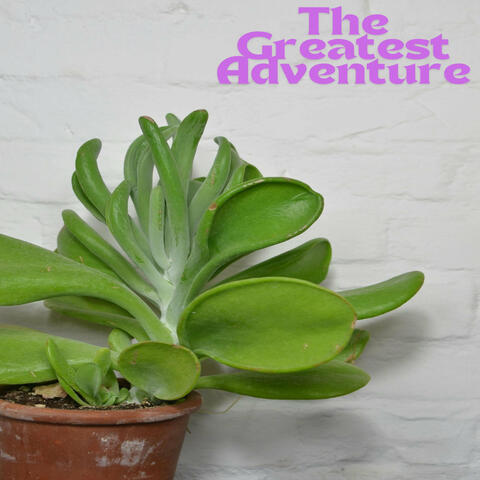 The Greatest Adventure