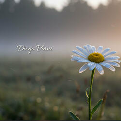 Timeless Serenity
