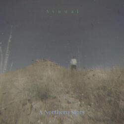 Nimbus Arrival