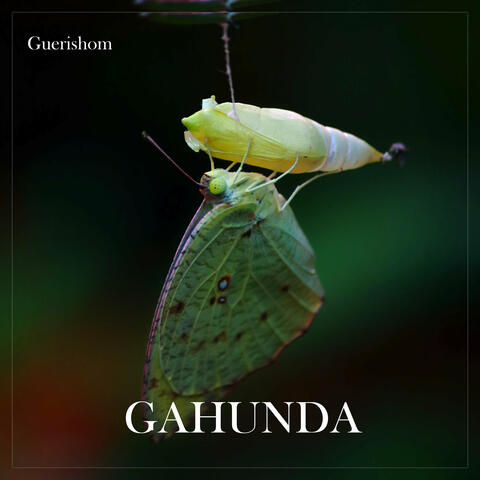 Gahunda