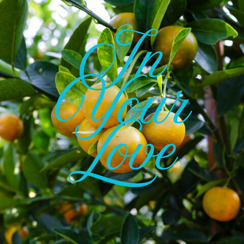 In Your Love