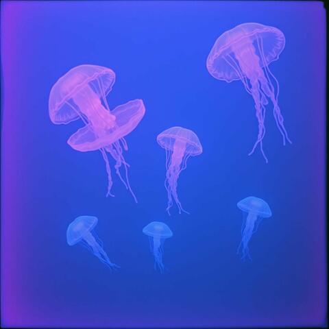 Echoes of the Deep Horizon