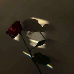 Ishq Hai