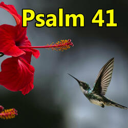 Psalm 41