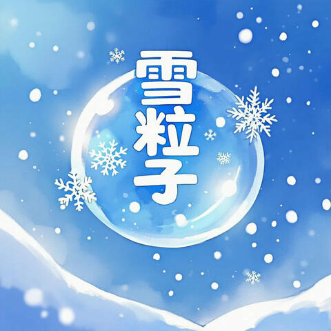 雪粒子