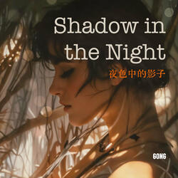 Shadow in the Night 夜色中的影子