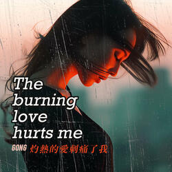 灼热的爱刺痛了我 the Burning Love Hurts Me
