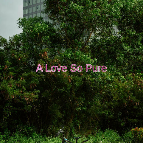 A Love so Pure