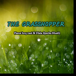 The Grasshopper