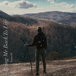 Bring Me Back to Life