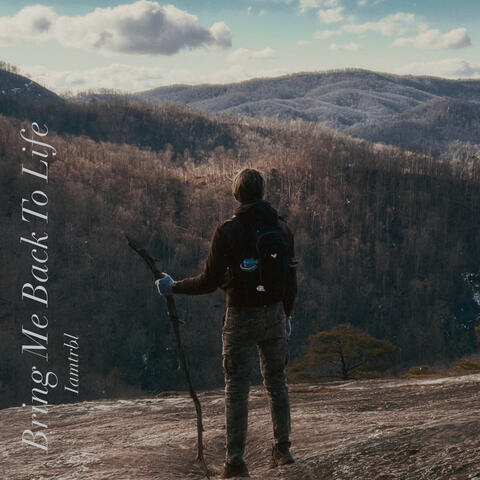 Bring Me Back to Life