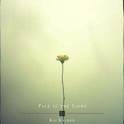 Pale Is the Light