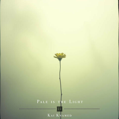 Pale Is the Light