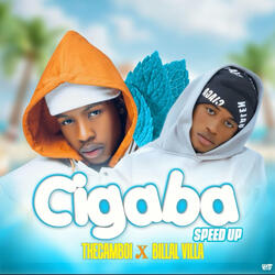 Ci Gaba