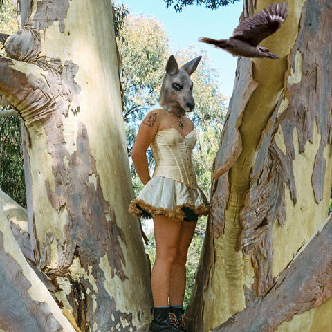 Complimentary Ghosts