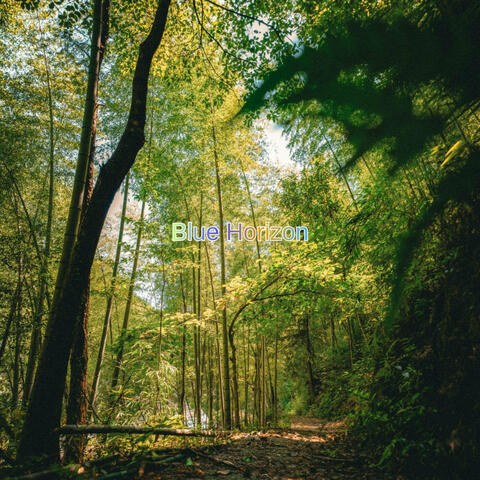 Blue Horizon