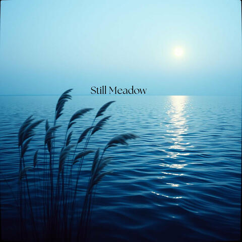 Still Meadow