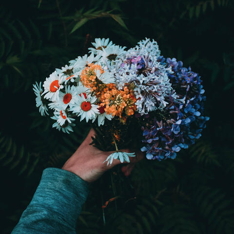 Nature's Grace