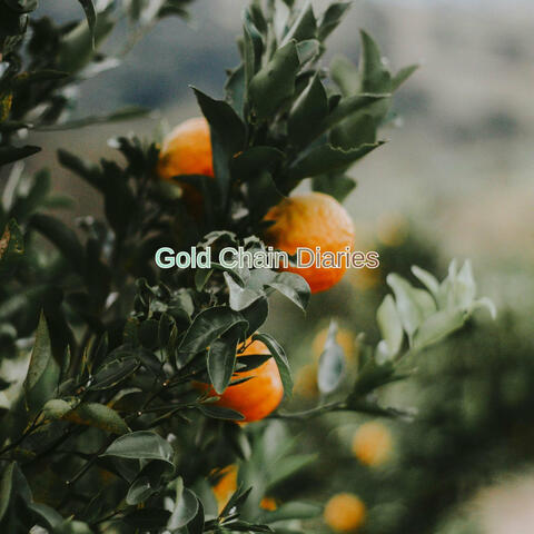Gold Chain Diaries