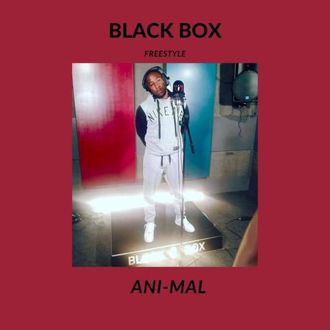Blackbox (Freestyle)