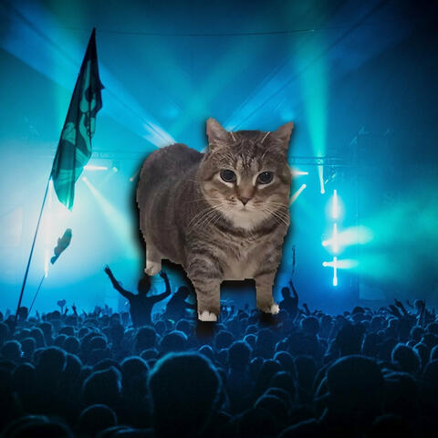 OIIA OIIA CAT (DNB)