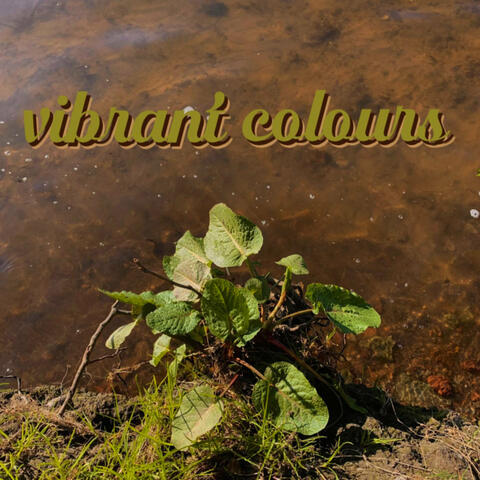 Vibrant Colours