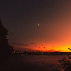 Oasis Of Inner Peace