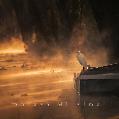 Abraza Mi Alma