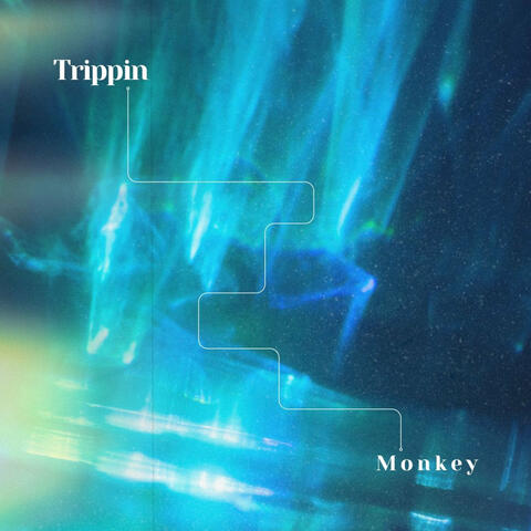 Tripp