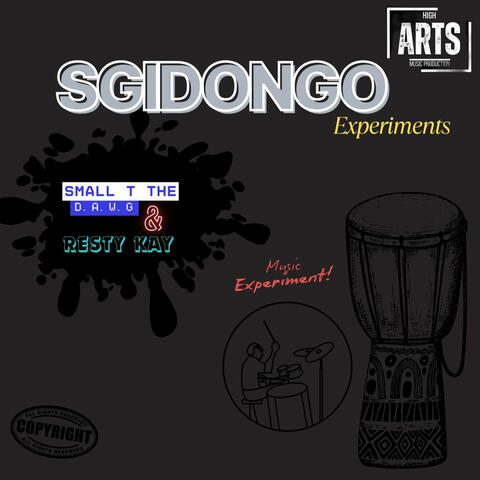 Sgidongo Experiments