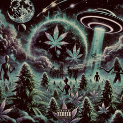 Loyal to the Blunt