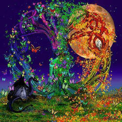 Cycles