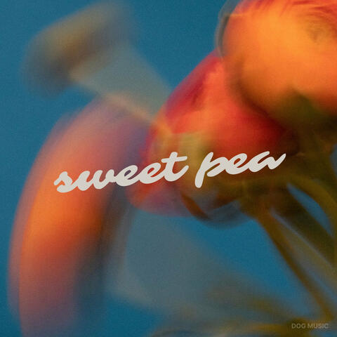 Sweet Pea