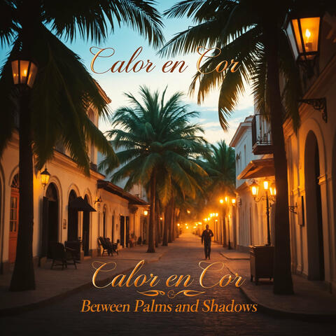 Between Palms and Shadows