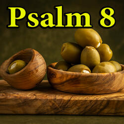 Psalm 8