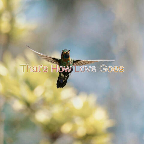 That's How Love Goes