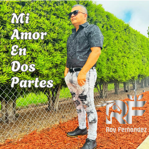 Mi amor en dos partes