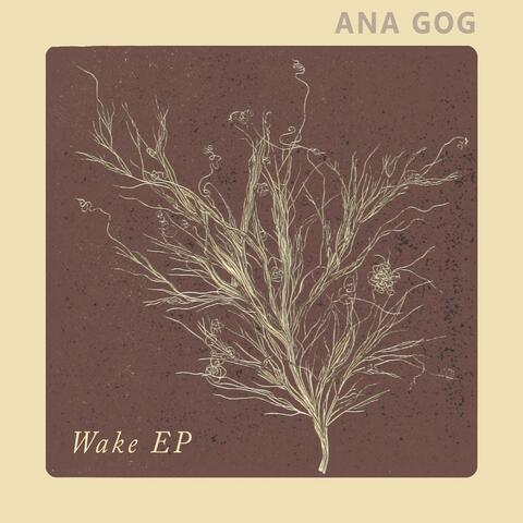 Wake - EP