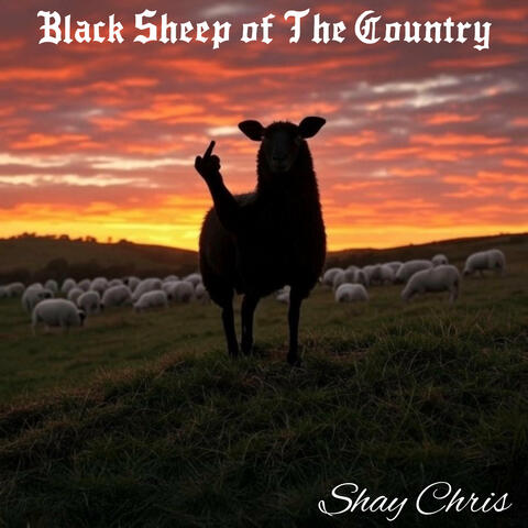 Black Sheep of the Country