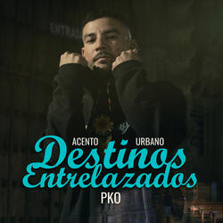 Destinos Entrelazados